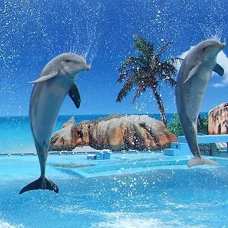 Welcoming In 60 M² With Shared Pool * アルブフェイラ